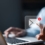 From Cold Outreach to Contracts: The 5 Email Templates Every Recruiter Should Have