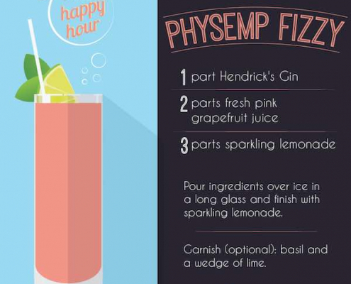PhysEmp Fizzy