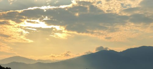Should Physician Assisted Suicide Be Legal